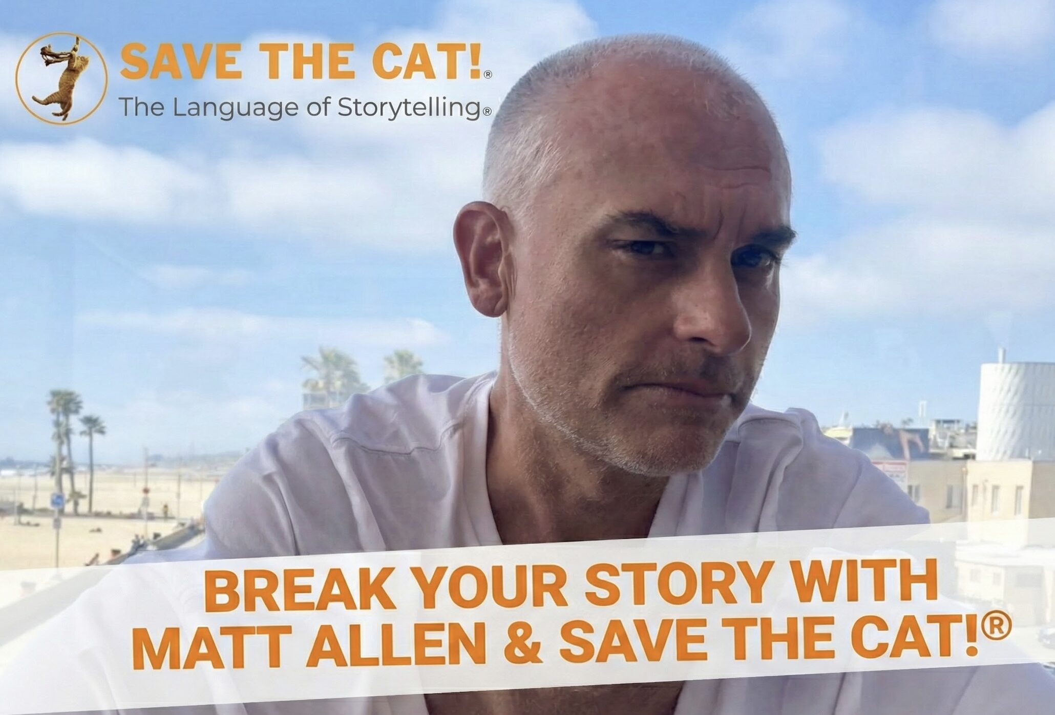 Save the cat with matt!